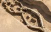 Археологи знайшли скелет, що танцює