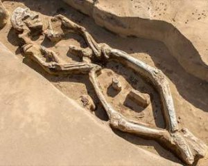 Археологи знайшли скелет, що танцює