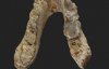 Доісторична скам'янілість змусила вчених засумніватись у теорії походження людини