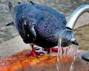 В Украине начинается летняя жара