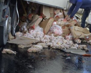 Голодные крымчане растащили курятину из грузовика, попавшего в ДТП