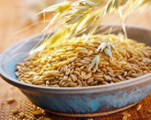 Европарламент разрешил ввозить больше продуктов из Украины