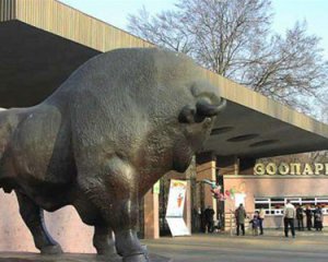 Киевский зоопарк идет на реконструкцию. Что там будет нового?