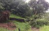 Сорваные крыши и поломанные деревья: Закарпатьем пронесся ураган
