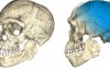 Ученые нашли старые останки Homo sapiens