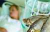 Смертельний ботулізм: в'яленою рибою отруїлися ще 5 людей