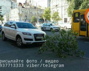 Герой парковки: водитель поставил машину на дереве