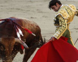 Матадор погиб от удара быка впервые за 97 лет