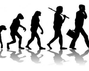 Теорию эволюции Дарвина больше не будут учить в турецких школах