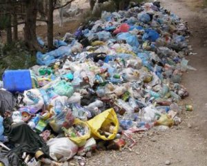 Сколько мусора накопилось в Львове