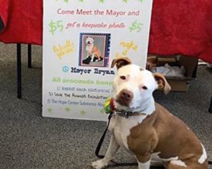 Собака став мером американського міста