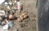 У львівському смітті виявили  п`ять бойових гранат