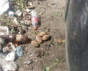 Во львовском мусоре обнаружили пять боевых гранат