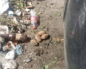 У львівському смітті виявили п`ять бойових гранат