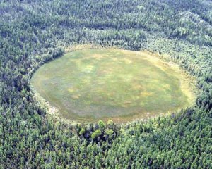 Тунгусский метеорит повалил сибирский лес в радиусе 40 километров