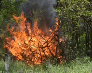 Літаками гасять пожежу в Чорнобильській зоні