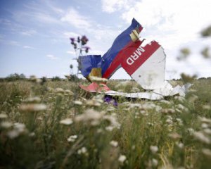Трибунал по сбитого MH17 могут собрать в Нидерландах без РФ