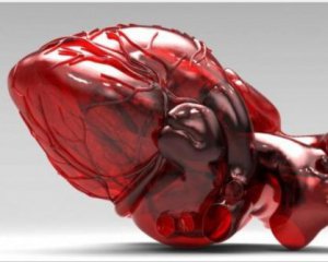 Швейцарські вчені створили перше в світі м&#039;яке штучне серце