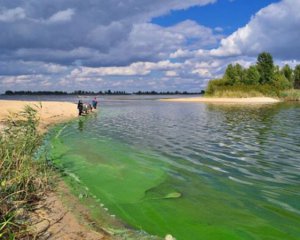 В Киеве зацвел Днепр: стоит ли бояться жителям столицы