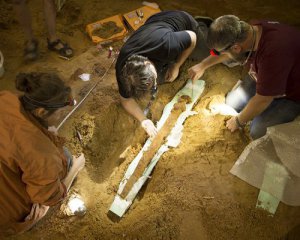 Археологи нашли редкое оружие
