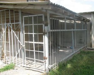 В інтернаті хворих пацієнтів тримають у клітці