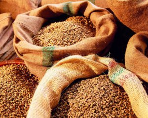 Україна встановила абсолютний рекорд з експорту зерна