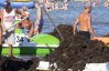 Блогер показав, як виглядають кримські смердючі пляжі, завалені гноєм
