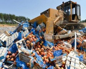 Россияне уничтожили 17 тысяч тонн продуктов