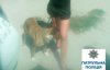 Бойцовский пес покусал мужчину на пляже
