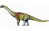 Вчені знайшли найбільшого динозавра, який існував на Землі
