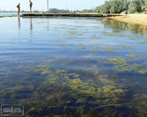 Кримчани скаржаться на море: огидно пахне лайном