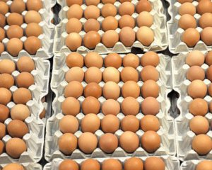 В Нідерландах затримано підозрюваних у отруєнні яєць