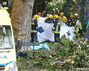 В толпу паломников упало дерево: 12 погибших