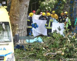 У натовп паломників впало дерево: 12 загиблих