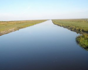 В одній з українських річок виявили смертельну інфекцію