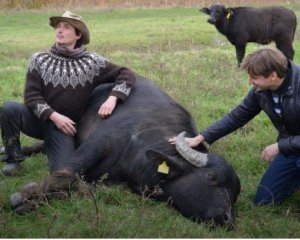 Редкую породу карпатских буйволов спасает немецкий эколог