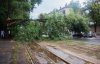 З'явились фото наслідків негоди у Дніпрі