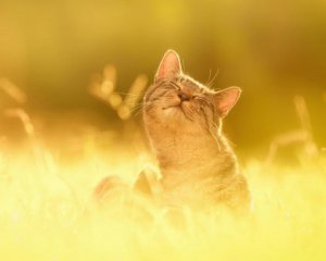 У п'ятницю в Україні потеплішає