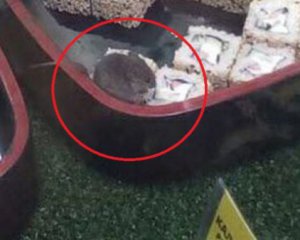 У київському супермаркеті сфотографували мишу серед готових суші