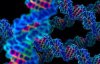 Вчені знайшли ДНК-код, який може заразити комп'ютер