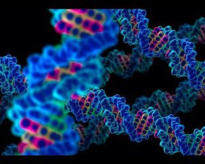 Вчені знайшли ДНК-код, який може заразити комп&#039;ютер