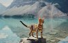 Кішка подорожує по найкрасивіших місцях Канади