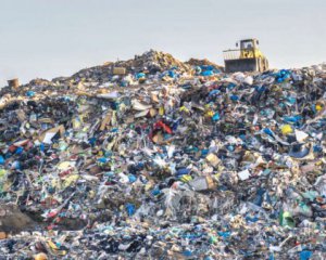 Фахівці дослідили гриби-пожирачі пластику на звалищах