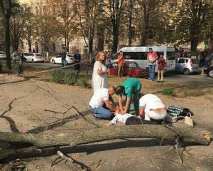 На проспекті дерево вбило студентку