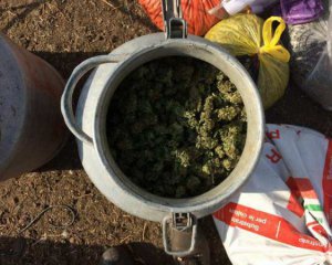 На Херсонщине правоохранители изъяли 55 кг марихуаны
