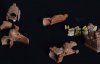 В детской могиле нашли древнегреческие игрушки