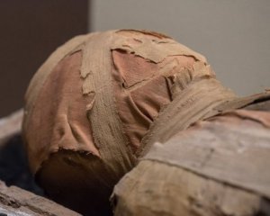 Археологи з&#039;ясували, що музейна мумія належить кастрованому жерцеві