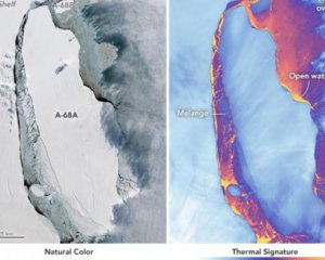 Невідомі істоти під льодовиком - вчені виявили давню екосистему