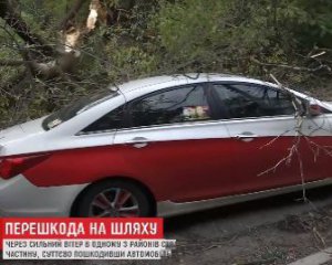 У центрі Києва дерево впало на іномарку