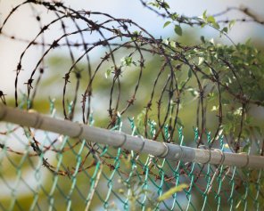 Арештанта, який повісився в Одеському СІЗО, підозрювали у педофілії